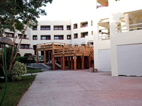 Paradaise